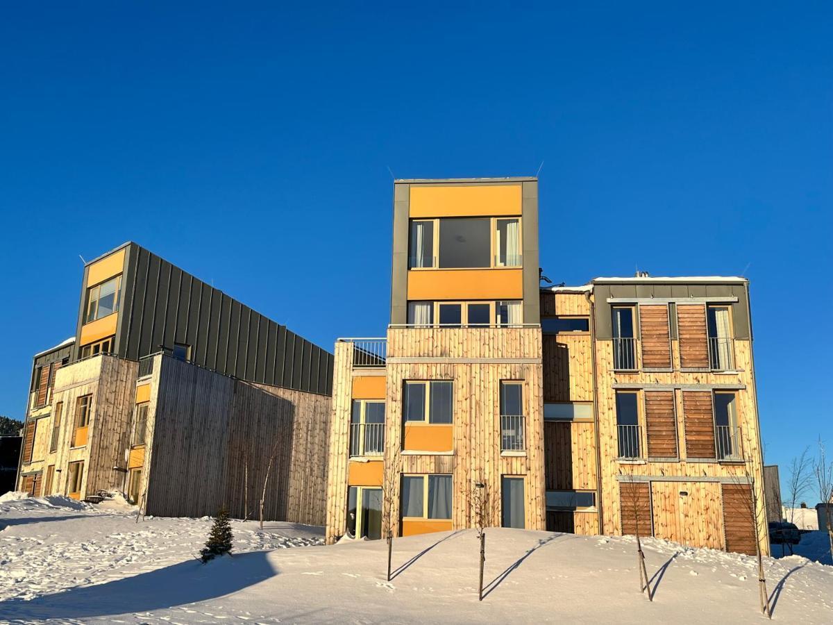 Meadows Apartments Klinovec Loučná pod Klínovcem Dış mekan fotoğraf