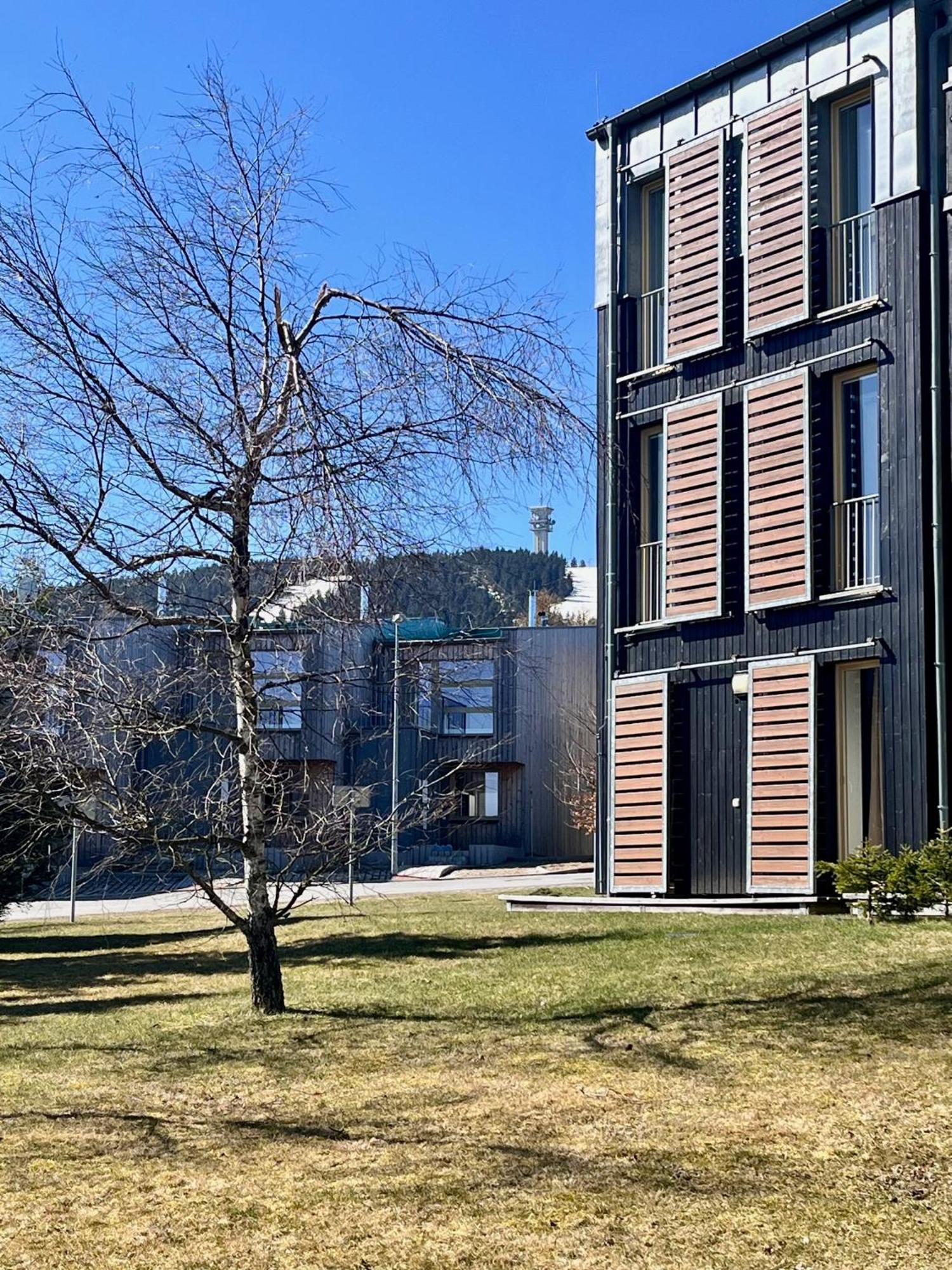 Meadows Apartments Klinovec Loučná pod Klínovcem Dış mekan fotoğraf